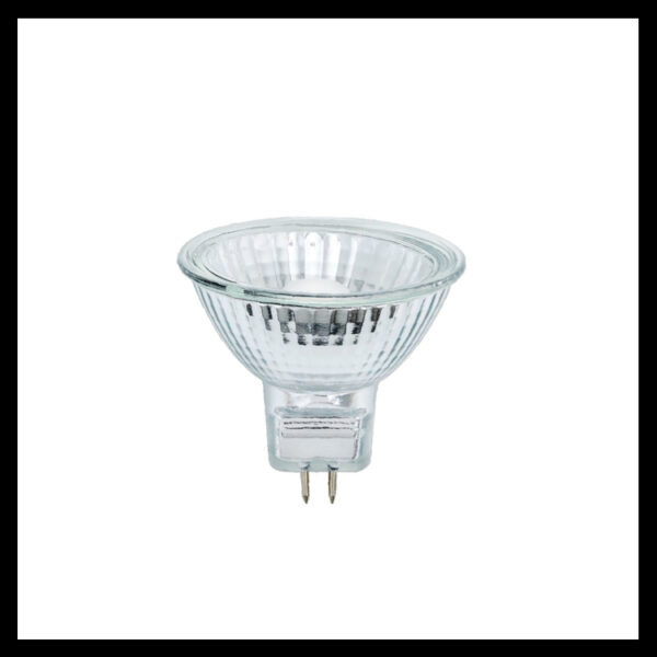 12v 50W G5.3 MR16 Halogen Dichroic bulb – PITS