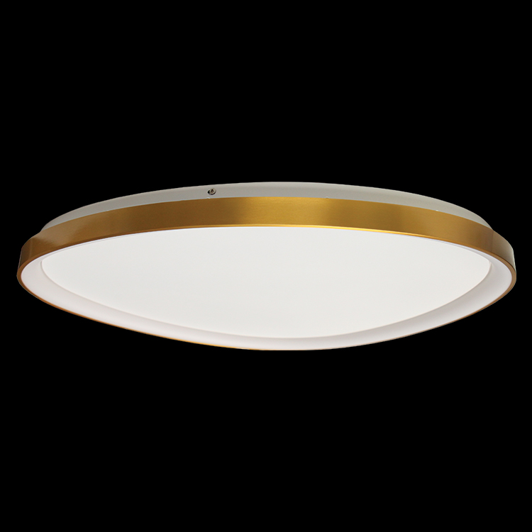 230v 60W LED Large Ovoid 80cm Framed Ceiling Fitting – PITS